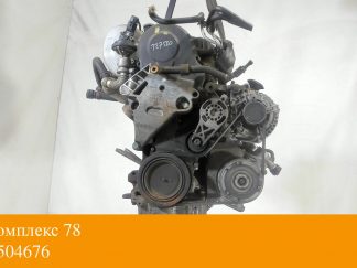 Двигатель Volkswagen Golf 5 2003-2009 BDK