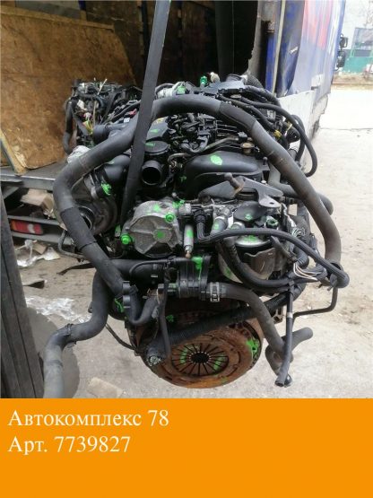 Двигатель Ford Focus 2 2008-2011 G8DA, G8DB, G8DC, G8DD, G8DE, G8DF (взаимозаменяемы: 9HW; 9HT; 9HX; 9HY, 9HZ; Y601; Y6; 9HY, 9HZ; 9HX; GPDA, HHDA, HHDB; G8DA, G8DB, G8DD; G8DA, G8DB; 9HY, 9HZ; 9HY, 9HZ; 9HY, 9HZ; 9HZ; 9HY,9HZ; 9HX; 9HW; 9HT; 9HY, 9HZ; 9HZ; HHJA, HHJB; 9HY, 9HZ; HHJC, HHJD, HHJE; 9HX; HHDA, HHDB; HHJB, HHJA; 9HZ; GPDA, GPDC)